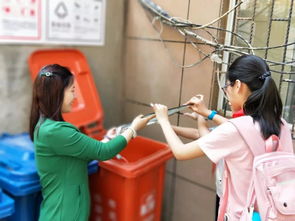 垃圾分类你学会了吗 权威指南在这里